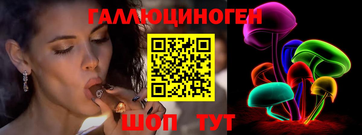 Псилоцибиновые грибы Psilocybine cubensis Унеча