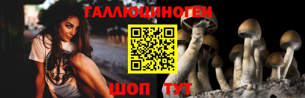 магазин    Вход с VPN  Унеча  Галлюциногенные грибы GOLDEN TEACHER 